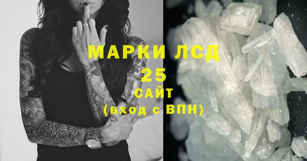 PSILOCYBIN Бородино