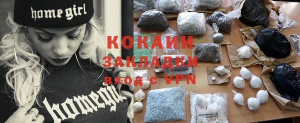 PSILOCYBIN Бородино