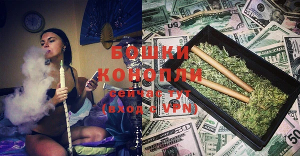 PSILOCYBIN Бородино