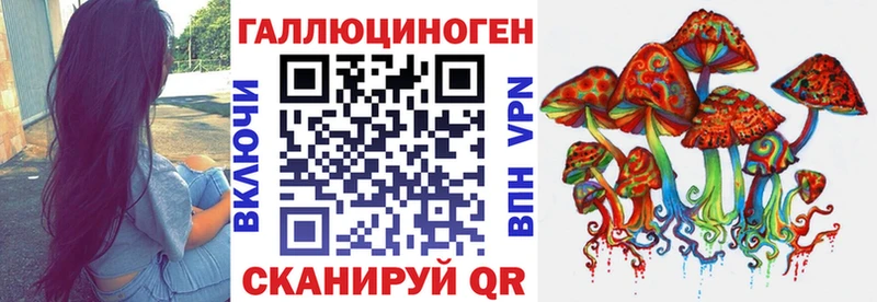 магазин продажи наркотиков  Назарово  Галлюциногенные грибы мицелий 